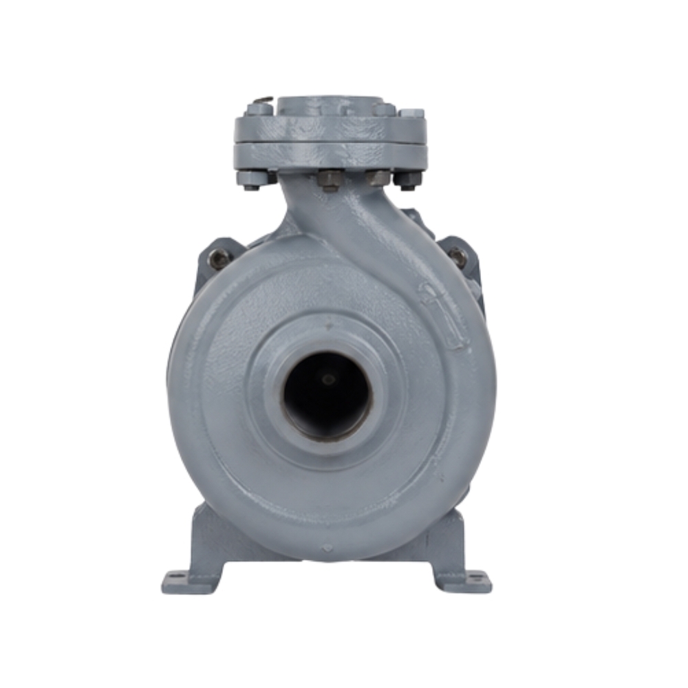 0.5 Hp Mini Openwell Pump