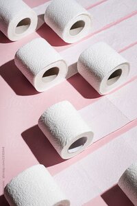 Toilet Paper Roll