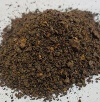Castor Cake - Color: Brown