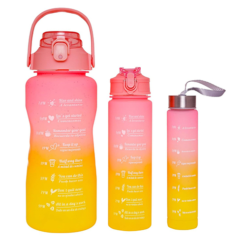 Set Of 3 Motivational Water Bottles With 3D Stickers With Handle