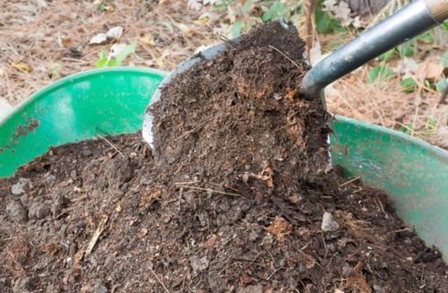 ORGANIC SOIL CONDITIONER