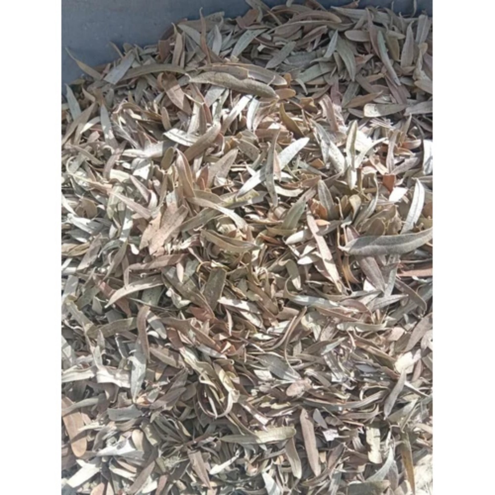 Loose Sea Buckthorn Leaves