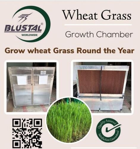 Micro Greens & Wheat Grass Growth Chamber