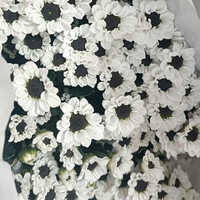 Disbud Chrysanthemum Flower - Fresh, Large White Blooming Beauty | Hand-picked, Sustainable Sourcing, Versatile For Events