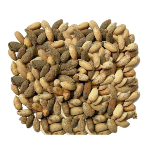 Neem seeds