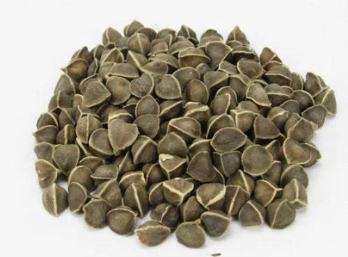 Moringa Drumstick seeds