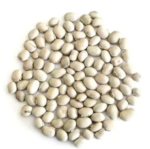 White Kaunch Seeds