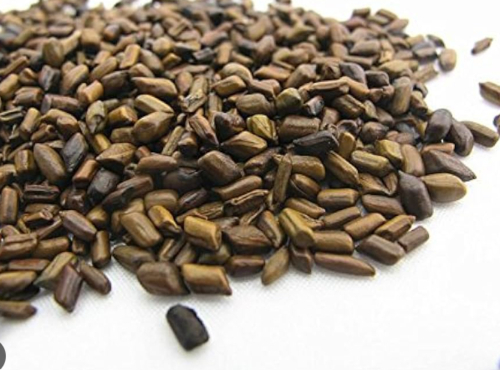 Cassia Tora or Puwar Seeds