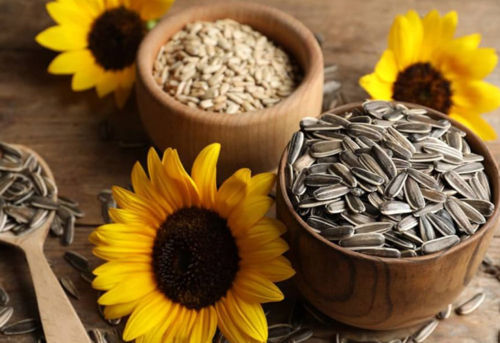 Sunflower seeds