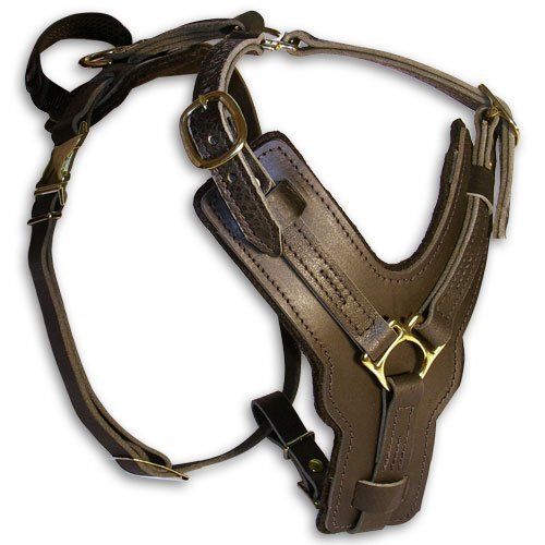 pet harness