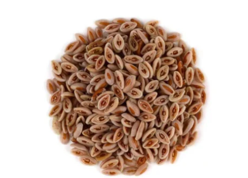 Psyllium Seeds