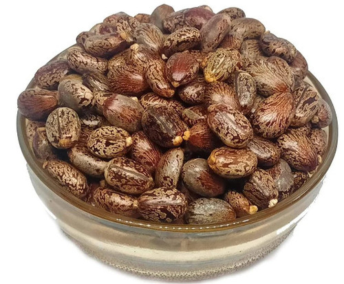 Castor seeds