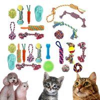 Toys For Cats