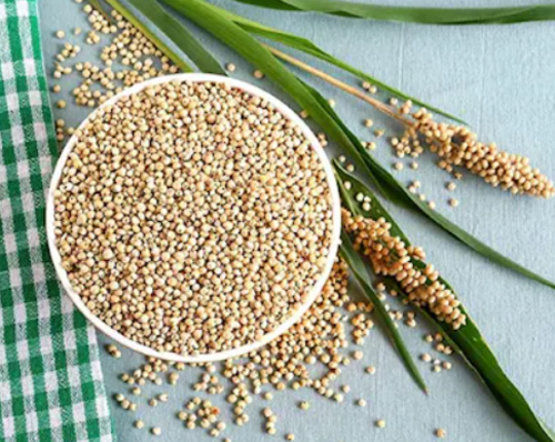 Sorghum (Jowar) millet