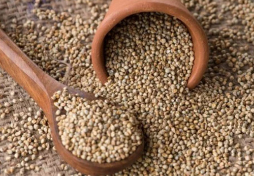 Pearl Millet (Bajra) - Feature: Low-Fat