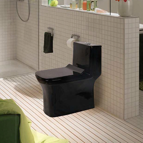 R106X Black Belino Black One Piece Water Closet