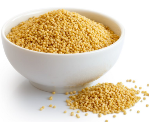 Foxtail millet