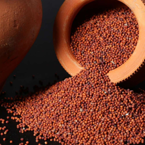 Finger Millet (Ragi) - Feature: Low-Fat