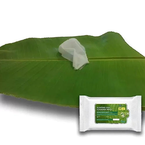 Plantain Leaf Cleaning Wipes - Age Group: Suitable For All Ages