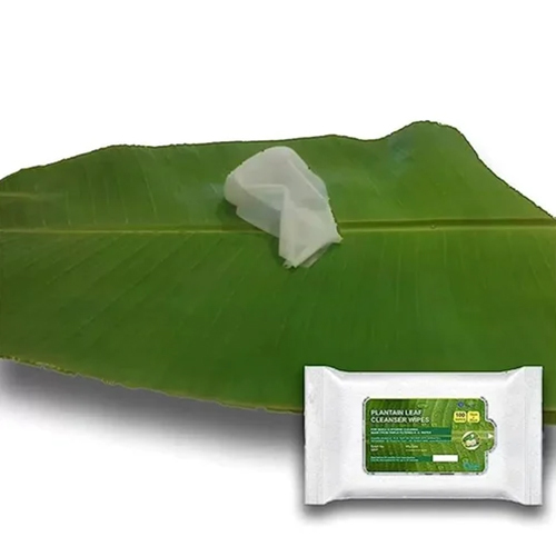 Plantain Leaf Cleaning Wipes