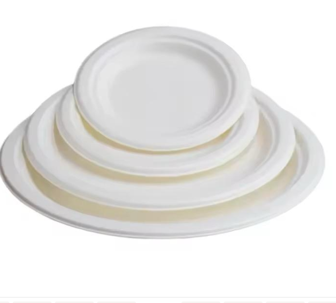 Disposable round 11" plate