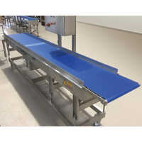 Industrial Packing Conveyor - Color: Blue