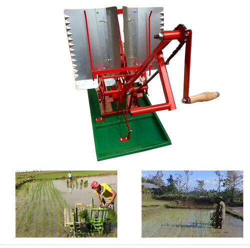 Siddhi Two Rows Manual Rice planter