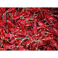 Dry Red Chilli