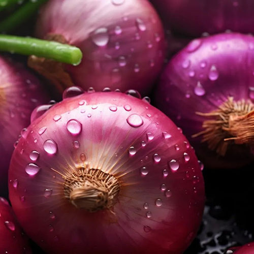 Red Onions - Moisture (%): 70%.