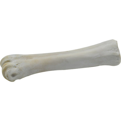 Dog Cannon Bone Chew - Color: White