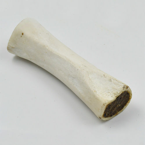 6 Inch Femur Bone With Filled Meat