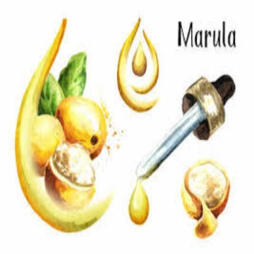 Marula Oil - Oily Consistency Yellowish Color | Derived from Marula Fruit Rich in Oleic and Palmitic Fatty Acids 24 Months Shelf Life Glass Bottle Packaging