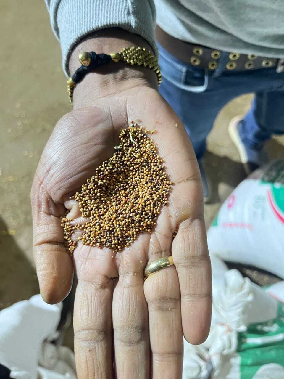 Organic Millets