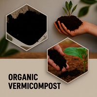 Organic Vermicompost