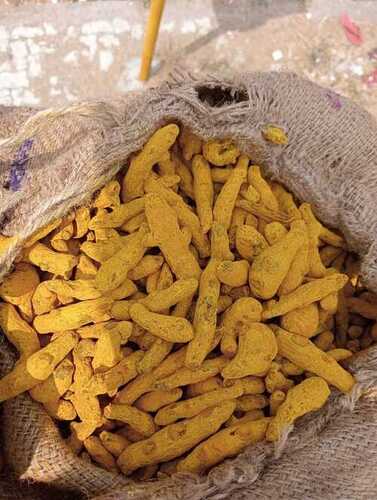 Turmeric Finger - Organic Dried Root, 100% Pure Natural Ingredient for Culinary Uses