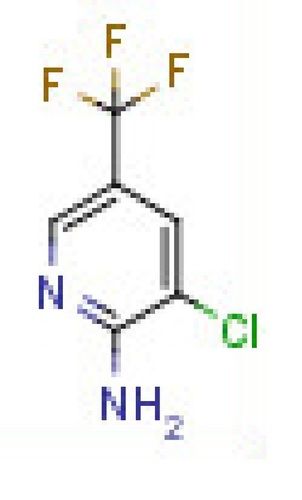 2-Amino-3-chloro-5-trifluoromethylpyridine   98%