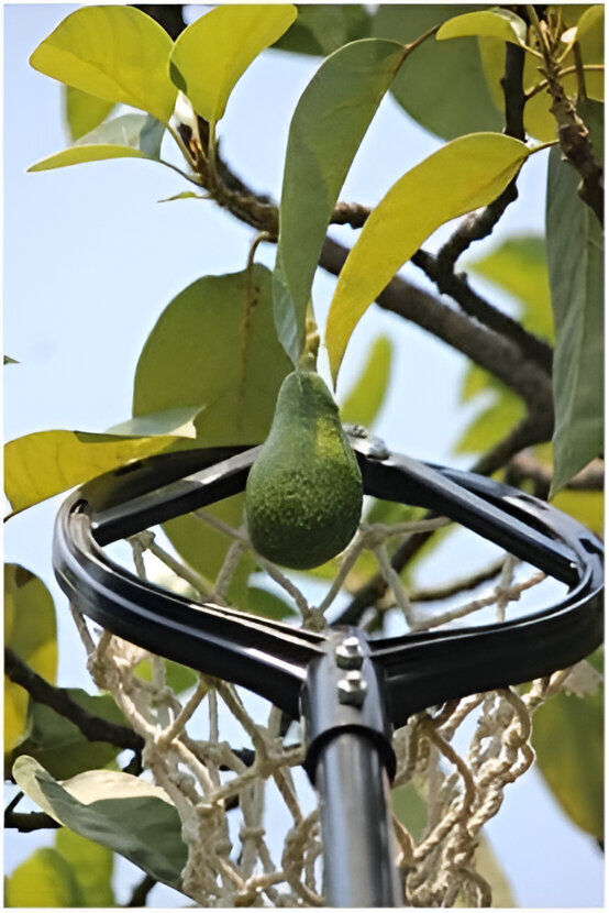 Siddhi Universal Lightweight Fruit Picker Without Pole