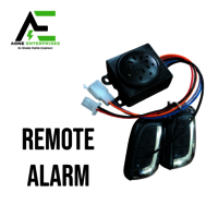 REMOTE ALARM