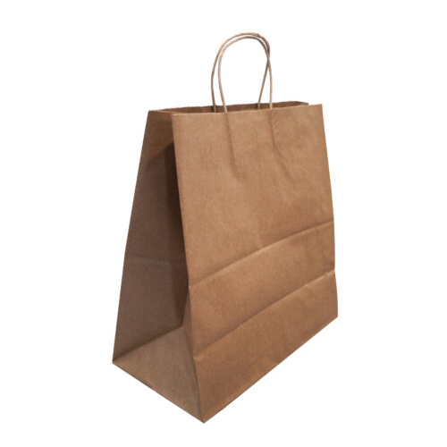 Shopping Paper Bag