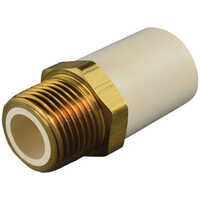 Cpvc Brass Male Threaded Adapter - Color: Golden