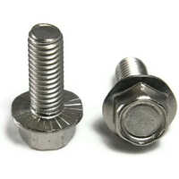 Stainless Steel Flange Bolt