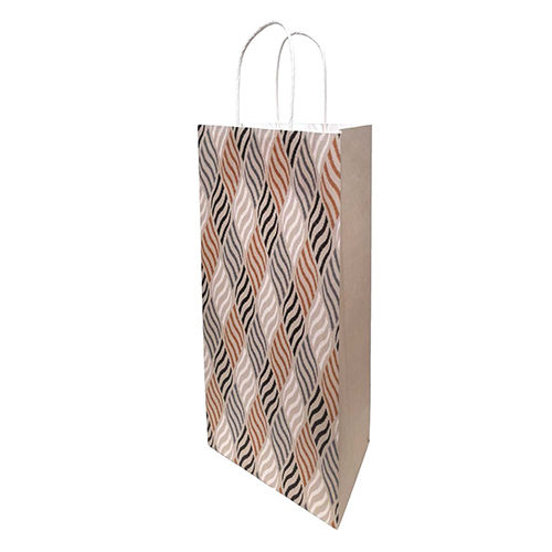 8.5x12.5x4inch Designer Paper Bag