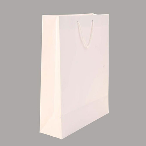 17X13.8X5Inch Plain White Bag - Feature: Moisture Proof