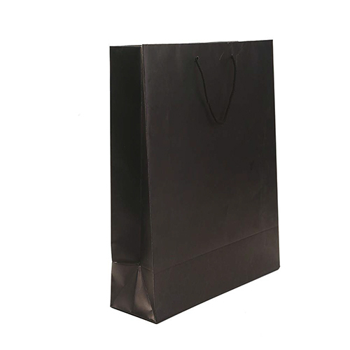 17x13.8x5inch Plain Black Bag