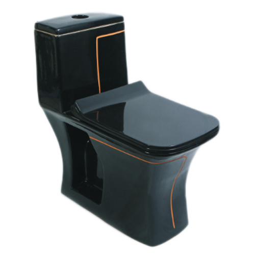 V-01 One Piece Flush Toilet