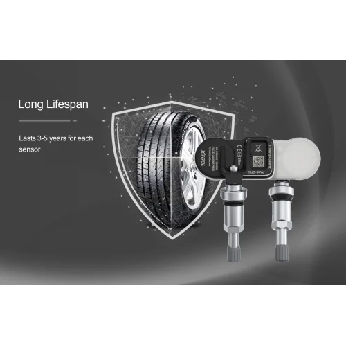 TS100 Programmable Universal Tyre Pressure Sensor