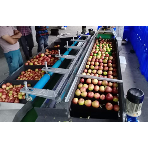 Industrial Apple Grading Machine