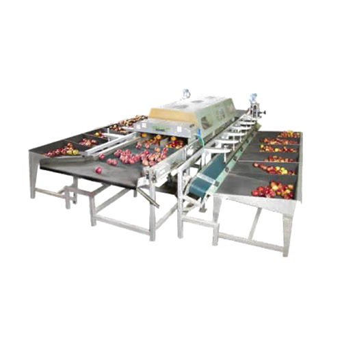 Double Line Apple Grading Machine
