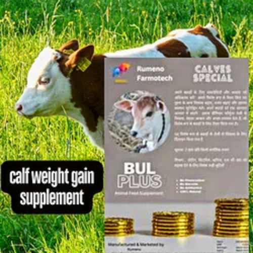 Cattle feed supply