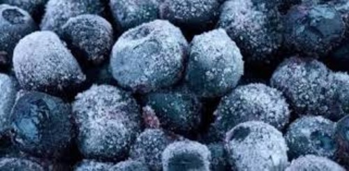 Frozen Jamun